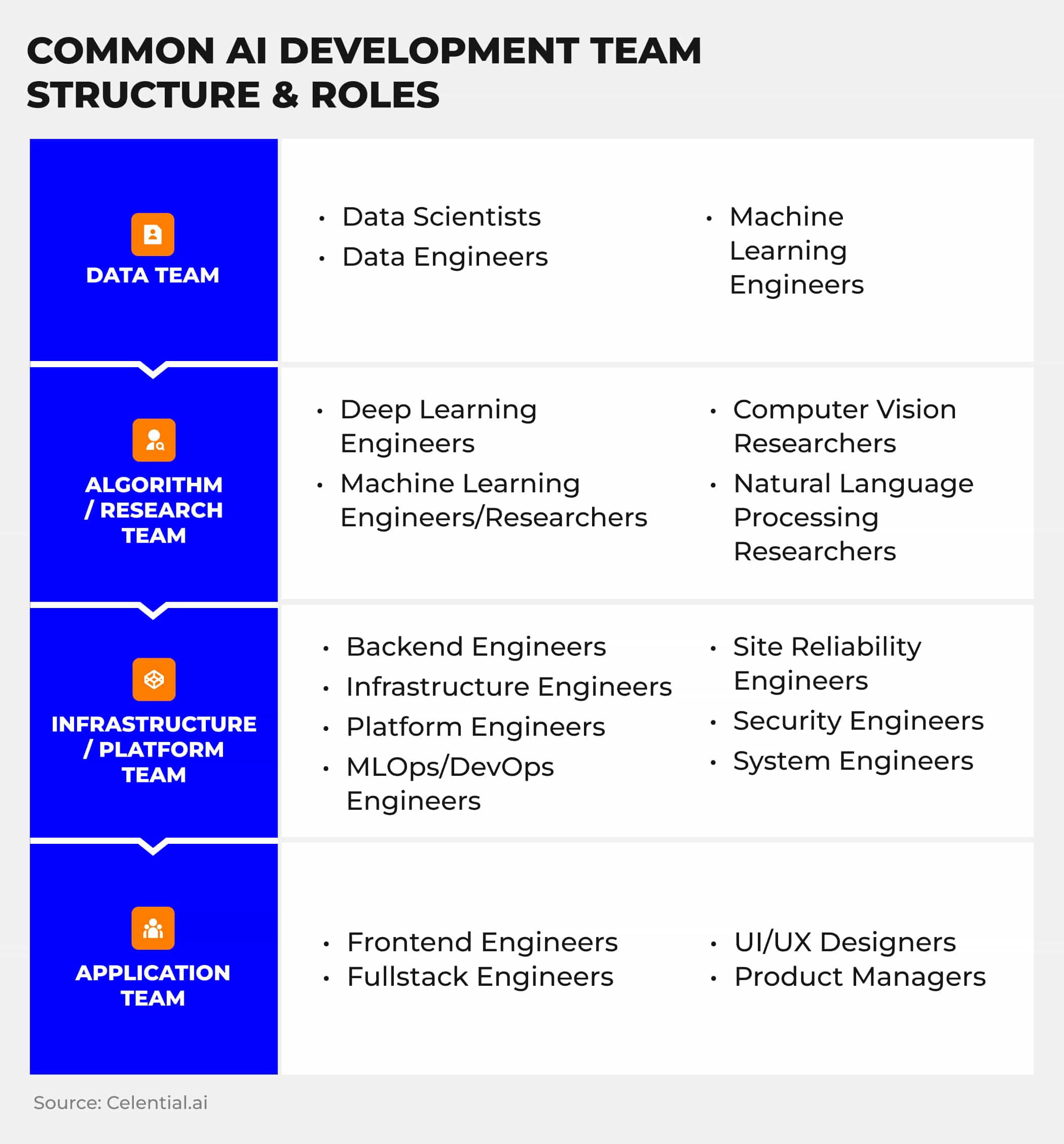 AI team roles